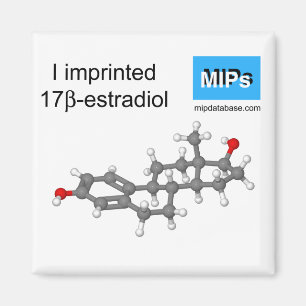 Aimant J'ai imprimé une boule d'estradiol et une bâton