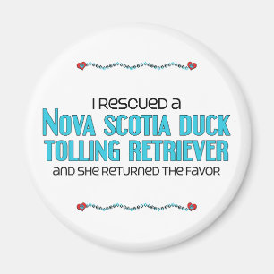 Aimant J'ai Secouru un récupérateur de canard (Chien feme