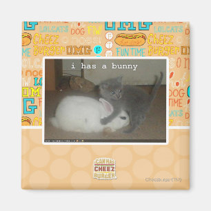Aimant J'ai un lapin