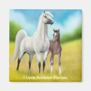 Aimant J'aime l'aimant Arabe de chevaux