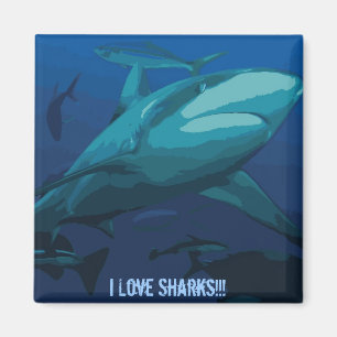 Aimant J'aime l'aimant de requins