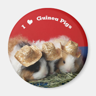 Aimant J'aime l'aimant des cochons de Guinée