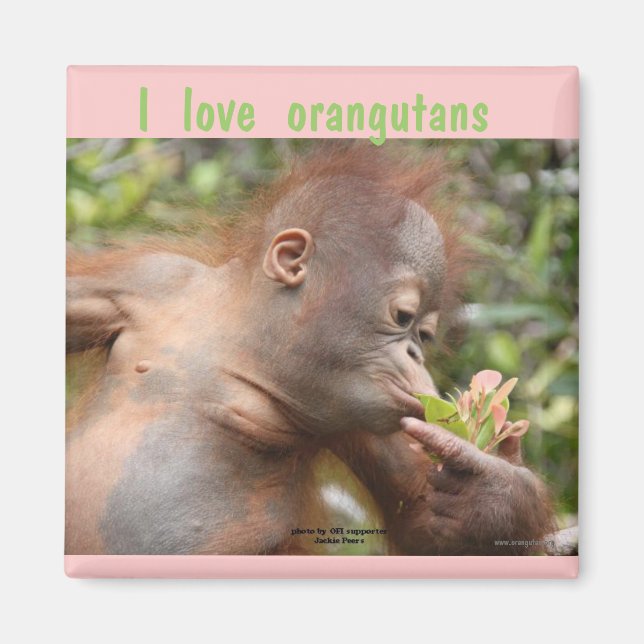 Aimant J'Aime Les Orangutans (Devant)