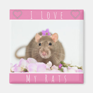 Aimant J'Aime Mes Rats