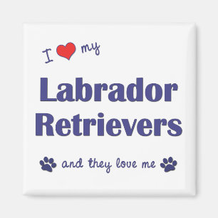 Aimant J'Aime Mes Récupérateurs Labrador (Chiens Multiple