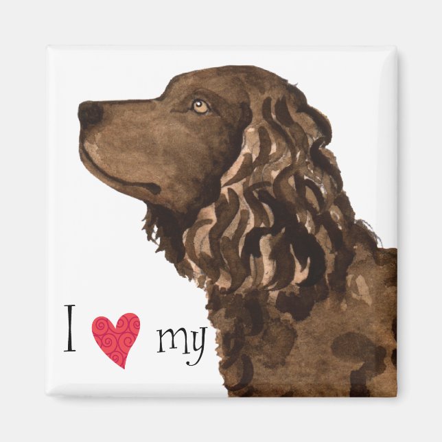 Aimant J'aime mon American Water Spaniel (Devant)