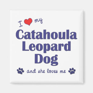 Aimant J'aime mon chien de léopard de Catahoula (le chie