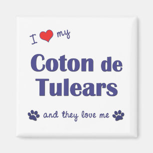Aimant J'aime mon coton de Tulears (les chiens multiples)