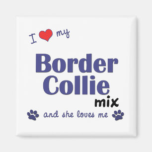 Aimant J'aime mon mélange de border collie (le chien