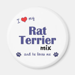 Aimant J'aime mon mélange de Rat terrier (le chien