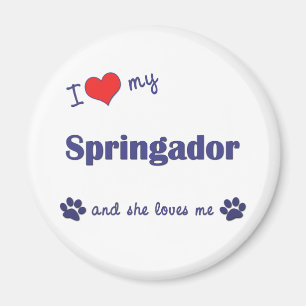 Aimant J'Aime Mon Springador (Chien Féminin)