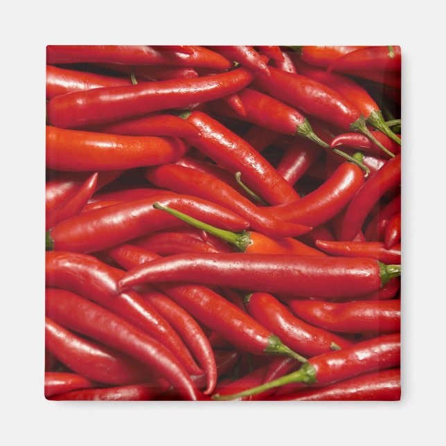 Aimant Jalapenos (Devant)