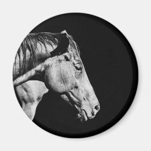 Aimant jambe de cheval