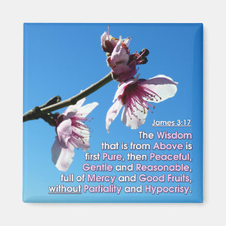 Aimant James 3v17 - Sagesse d'en haut