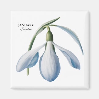 Aimant Janvier Snowdrop Bloom - Cadeau personnalisé