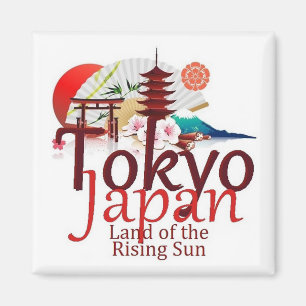 AIMANT JAPON