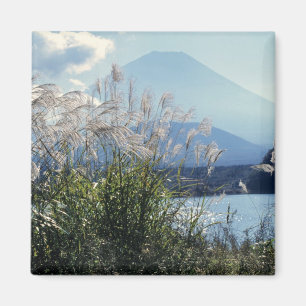 Aimant Japon, Honshu, préfecture de Yamanashi, Fuji-Hakon