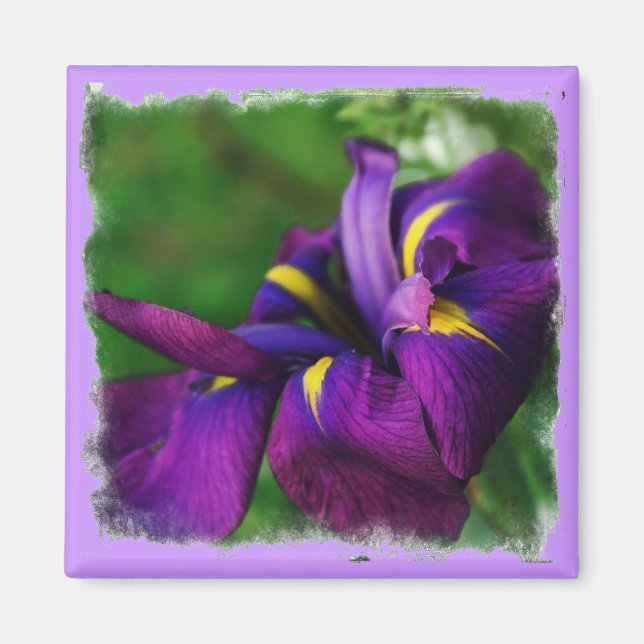 Aimant japonais Iris (Devant)