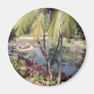 Aimant Jardin de Goa Inde