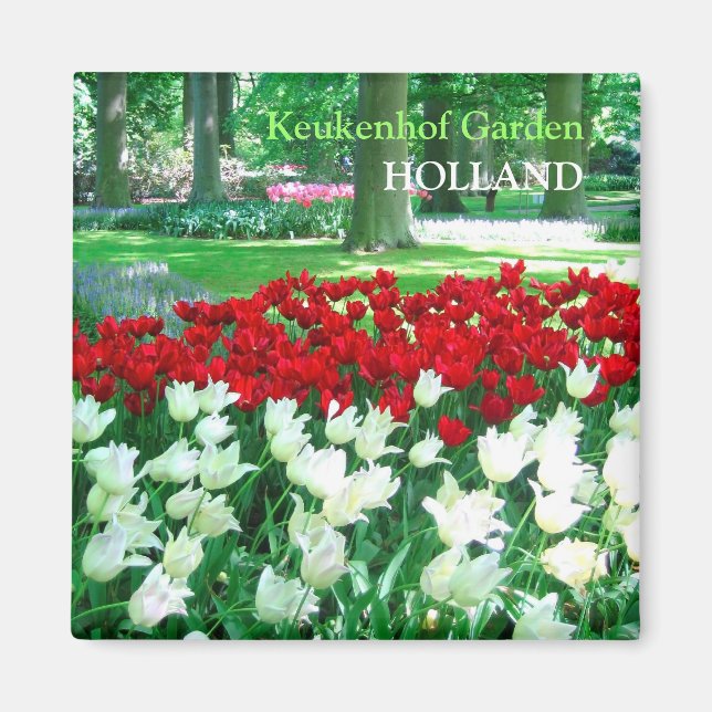 Aimant Jardin des tulipes blanches rouges (Devant)