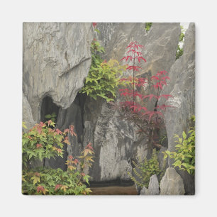 Aimant Jardin familial de Bao, Huangshan, Chine.