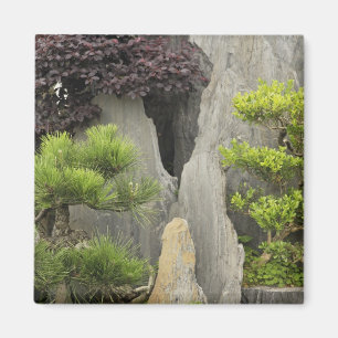 Aimant Jardin familial de Bao, Huangshan, Chine.2