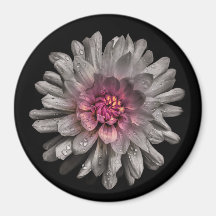 Jardin Fleurs No 91 Version couleur