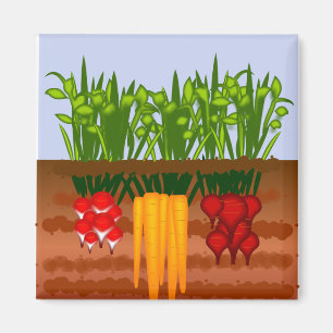 Aimant Jardin végétarien