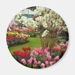 Aimant Jardins de Keukenhof à Lisse, au sud d'Amster