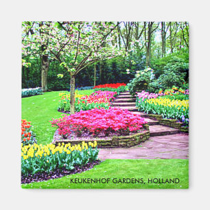 AIMANT JARDINS DE KEUKENHOF, HOLLANDE