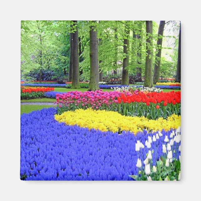 AIMANT JARDINS DE KEUKENHOF, HÔTEL DE LISSE (Devant)