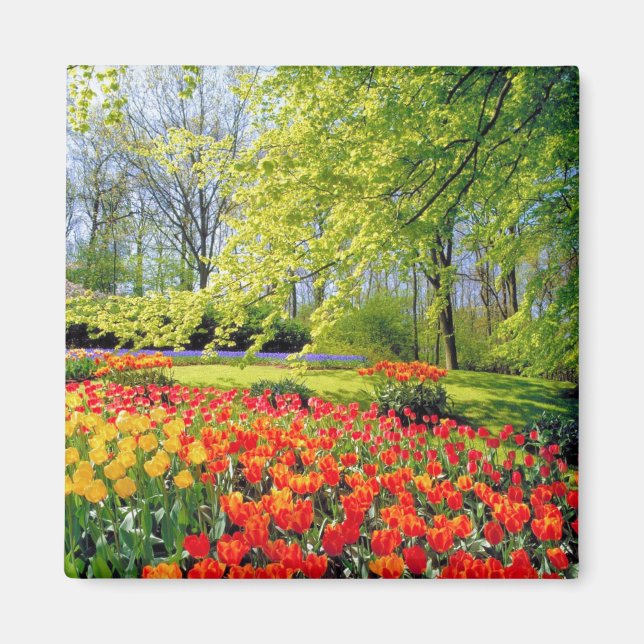 AIMANT JARDINS DE KEUKENHOF, HÔTEL DE LISSE (Devant)