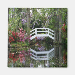 Aimant Jardins de magnolia, S.C.