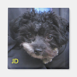 AIMANT JD