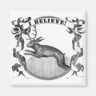 Aimant Je crois (Jackalope)