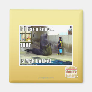 Aimant Je le haz u saurai