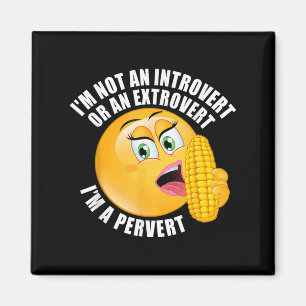 Aimant Je ne suis pas un initié ou un extraverti Je suis 