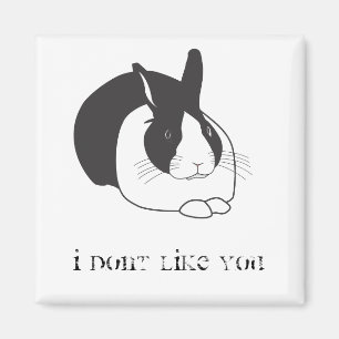 Aimant Je ne vous aime pas