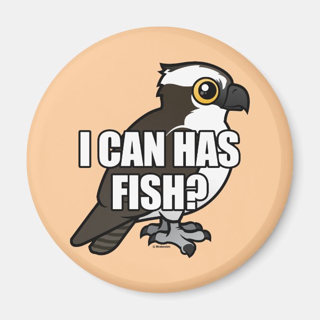 Aimant Je Peux Avoir Du Poisson ? (Devant)