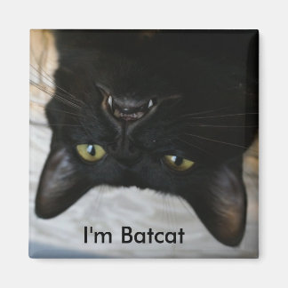 Aimant Je suis l'aimant Batcat