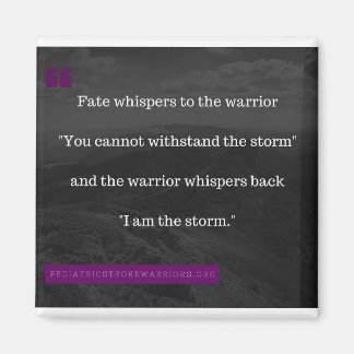 Aimant Je suis l'aimant Storm