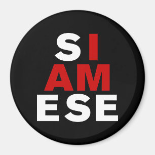AIMANT JE SUIS SIAMESE