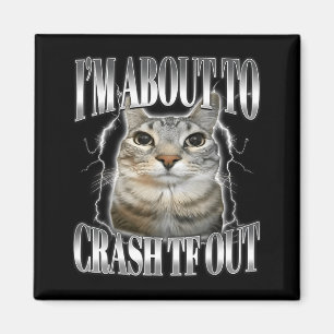 Aimant Je vais bientôt m'écraser Drôle de chat qui fixe B