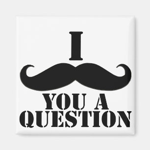 Aimant Je Vous Moustache Une Question