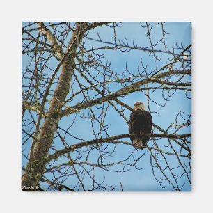 Aimant Je vous regarde