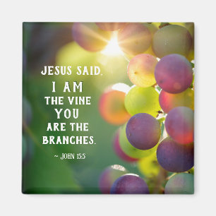 Aimant Jean 15:5 Je suis la vigne Vous êtes les branches 