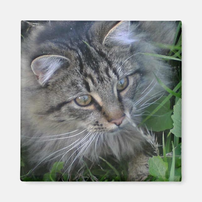 Aimant Jebediah ! (Devant)