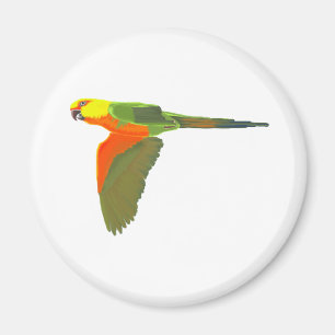 Aimant Jenday Conure