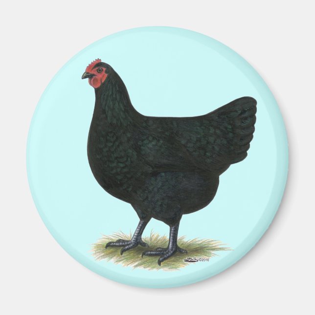 Aimant Jersey Giant : Black Hen (Devant)