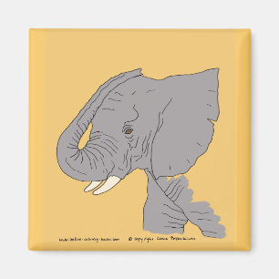 Aimant Jeune éléphant